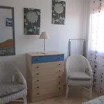 El Salado2,svetik